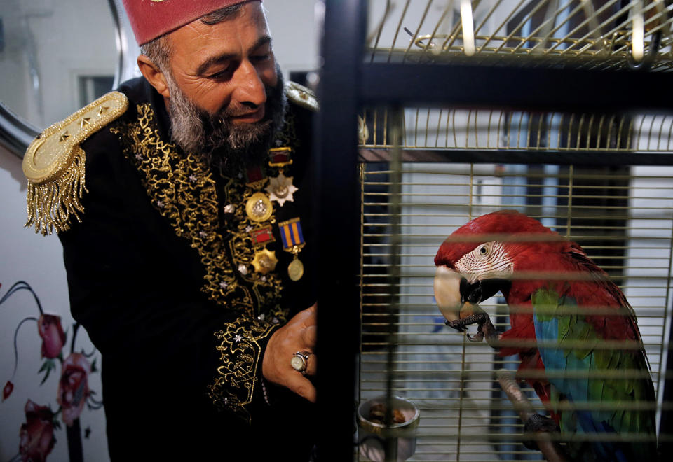 Life with a parrot in Istanbul