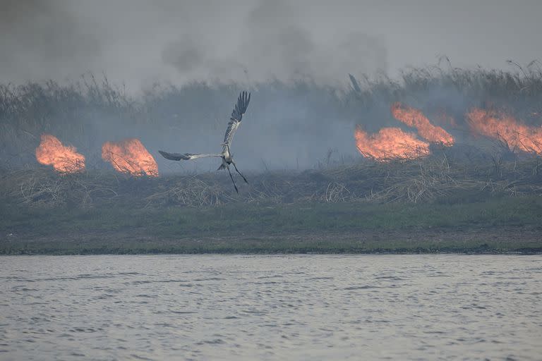 Incendios en Portal Carambola, en el Parque Iberá