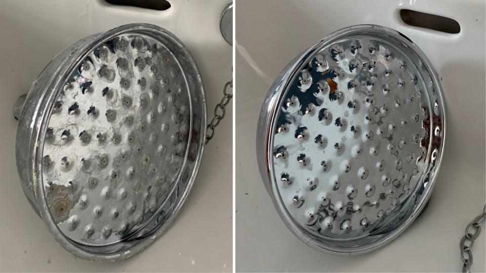 Shower head before and after cleaning with vinegar