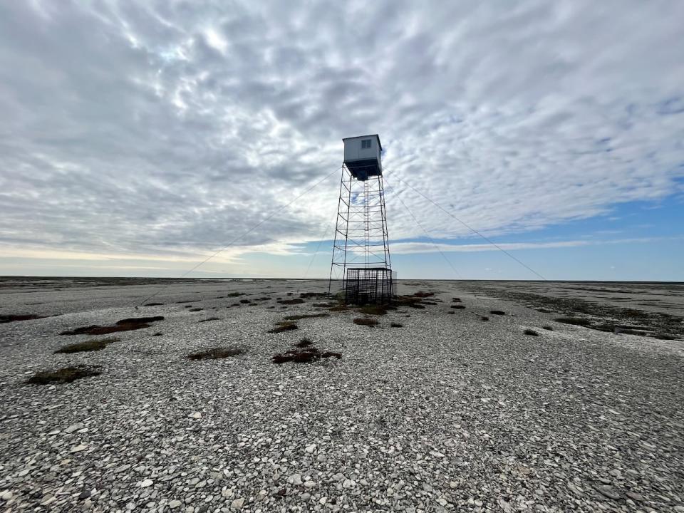 Scientists used to climb up this disused observation tower near Cape Churchill in Wapusk National Park to observe the polar bears below. (Bartley Kives/CBC)