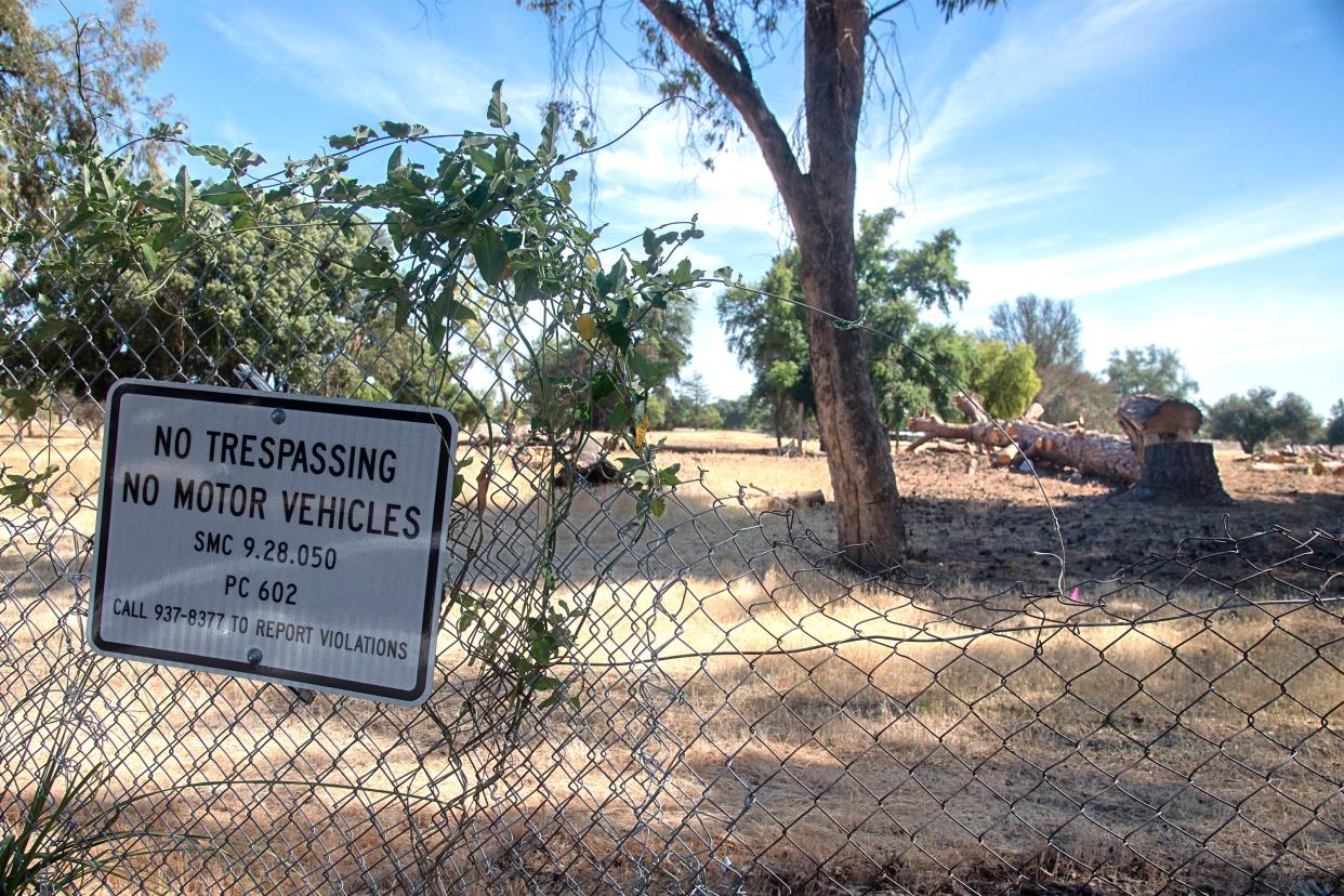 There are many trees that have been cut down but not hauled away at the former Van Buskirk golf course in south Stockton.