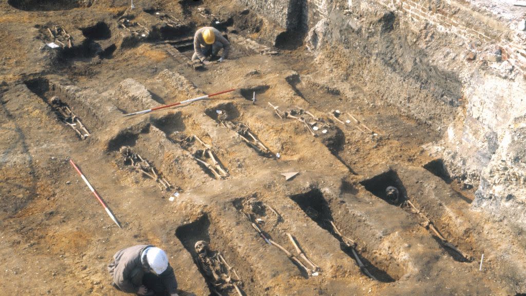  a historic photo of the plague pits in london being excavated; archaeologists can be seen examining skeletal remains in a line of open graves 