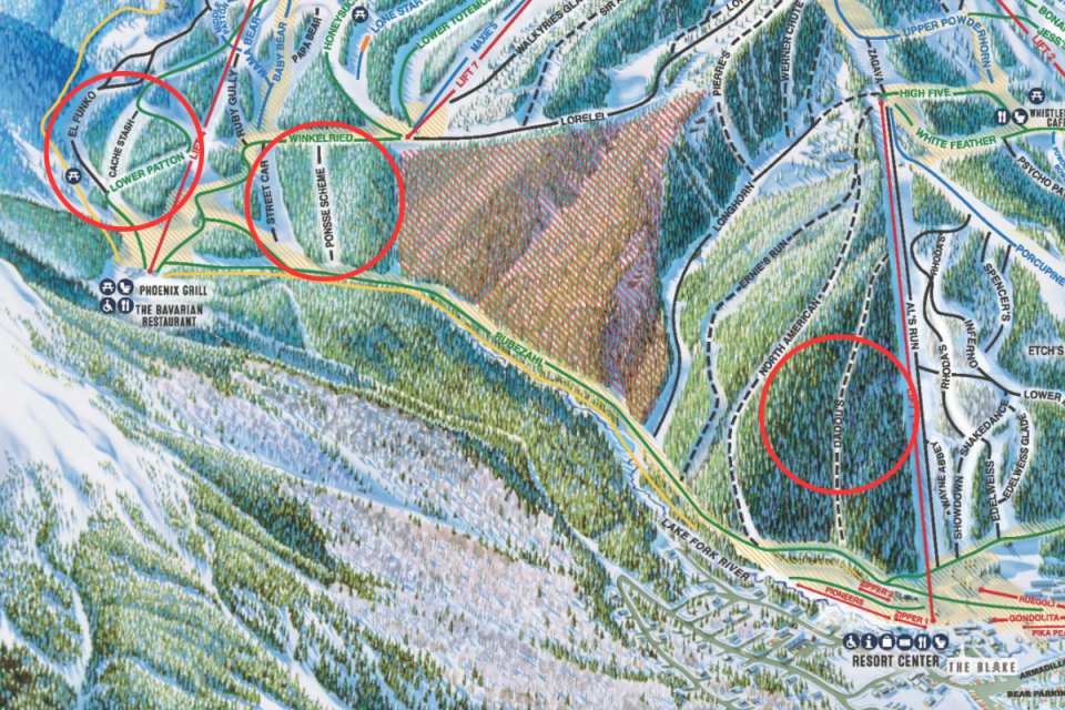 Taos Ski Valley updated trail map. New runs circled in red.<p>Taos Ski Valley</p>