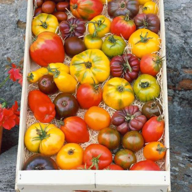 <p><a href="https://go.redirectingat.com?id=74968X1596630&url=https%3A%2F%2Fwww.edenbrothers.com%2Fproducts%2Ftomato-seeds-heirloom-rainbow-mixture&sref=https%3A%2F%2Fwww.veranda.com%2Fhome-decorators%2Fdesign-trends%2Fg46584591%2Fantique-trends-2024%2F" rel="nofollow noopener" target="_blank" data-ylk="slk:Shop Now;elm:context_link;itc:0;sec:content-canvas" class="link ">Shop Now</a></p><p>Heirloom Seeds</p><p>edenbrothers.com</p><p>$6.59</p>