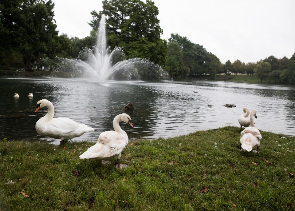 At Yoctangee Park visitors are able to enjoy local wildlife, fish, picnic, play on the playground and more. With so many options the park provides an activity that almost everyone will enjoy.