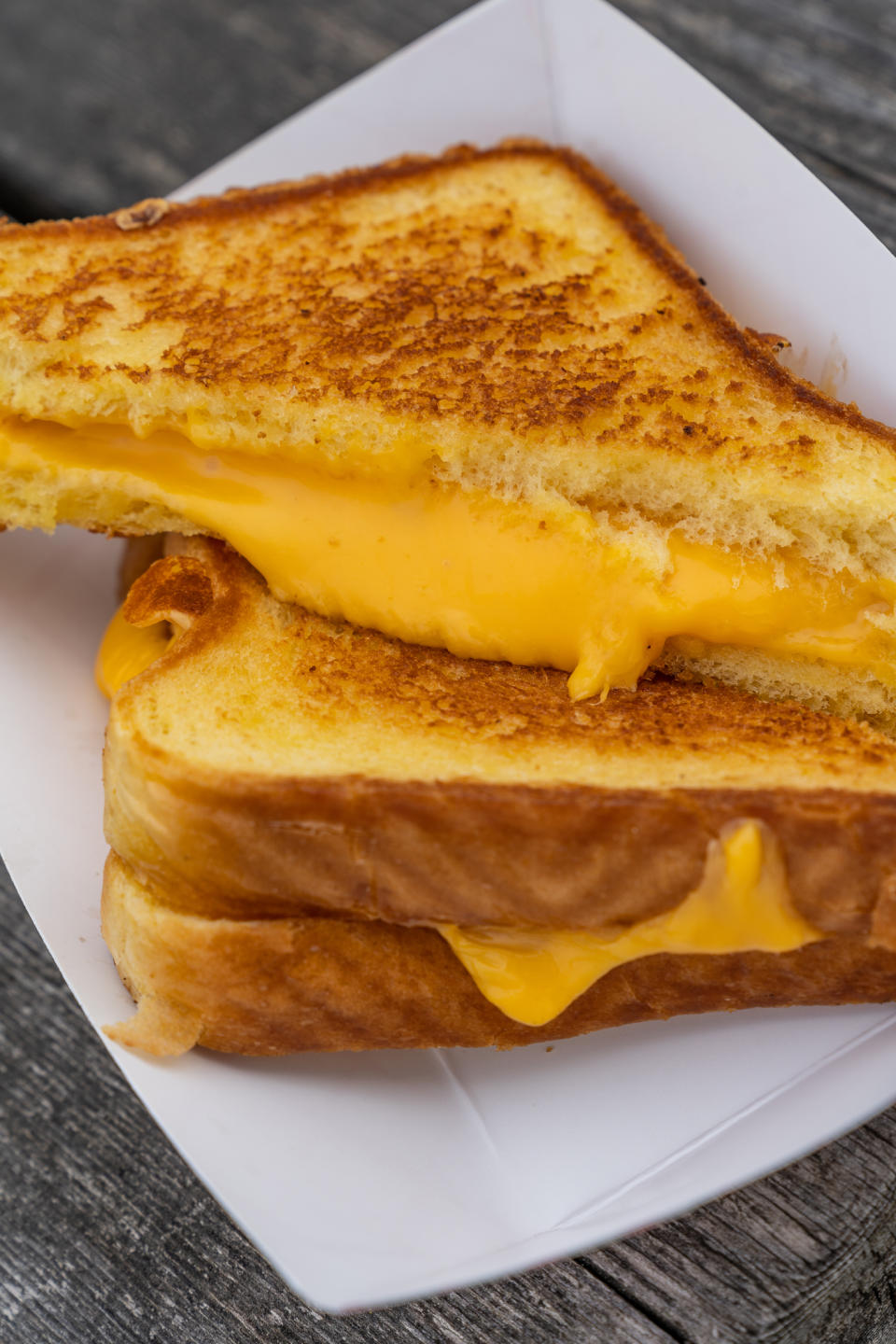 Close-up of two halves of a grilled cheese sandwich with melted cheese oozing out, served on a white plate