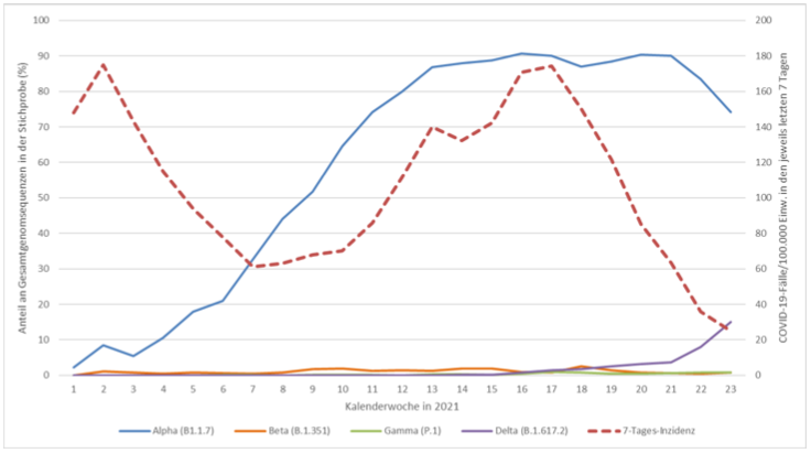 Die Anteile der vier Corona-Varianten an den Neuinfektionen in den jeweiligen Kalenderwochen. 