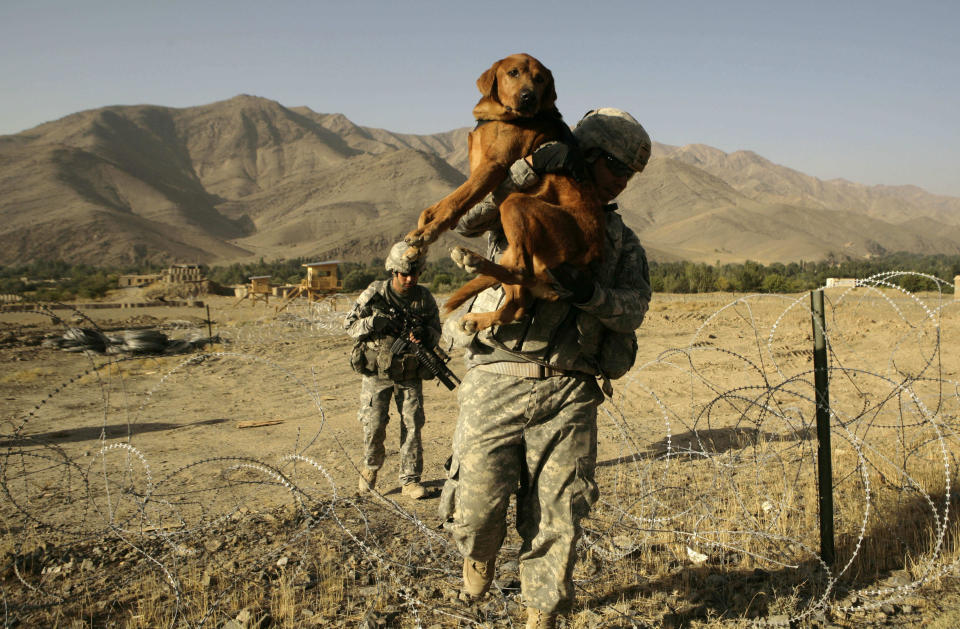 FILE - In this file picture taken Monday, Sept. 28, 2009, U.S. Army dog handler Sgt. Adrian Garcia, 24, from El Paso, Texas, carries Staff Sgt. Kirby over a concertina wire fence during a patrol with 3rd Brigade, 10th Mountain Division in the Jalrez Valley in Afghanistan's Wardak Province. Moscow and Washington are intertwined in a complex and bloody history in Afghanistan, with both suffering thousands of dead and wounded in conflicts lasting for years. Now both superpowers are linked again over Afghanistan, with intelligence reports indicating Russia secretly offered bounties to the Taliban to kill American troops there. But analysts suggest that the two adversaries actually have more in common, especially when it comes to what they want to see in a postwar Afghanistan: a stable country that does not serve as a base for extremists to export terrorism. Both countries also are aligned in their opposition to militants from the Islamic State group. (AP Photo/Maya Alleruzzo, File)