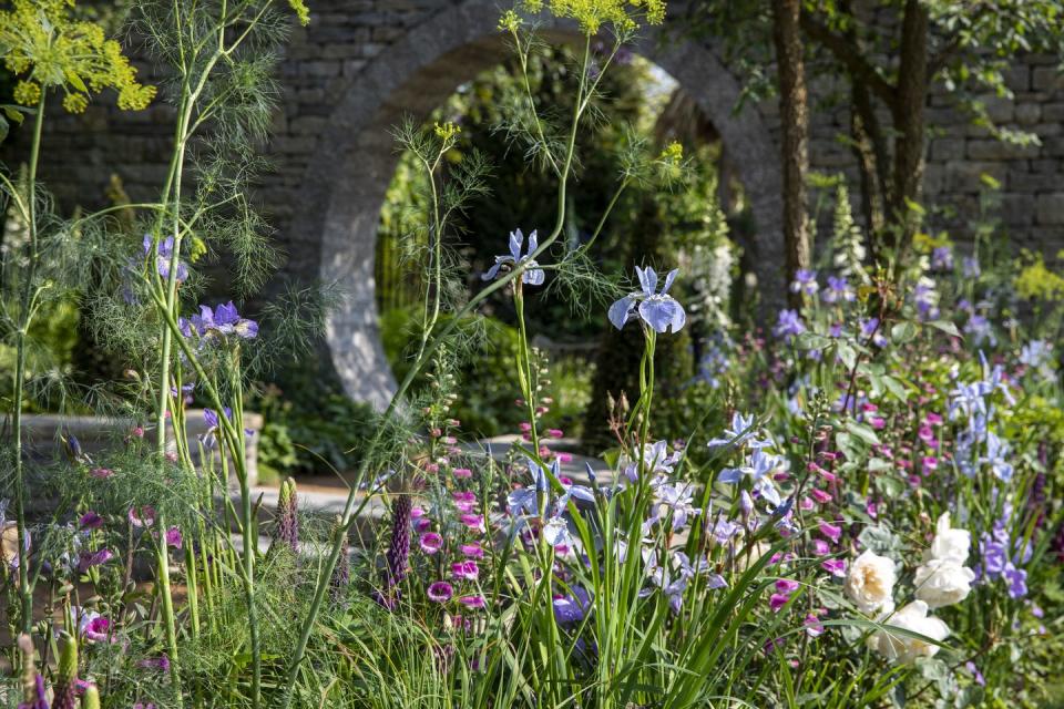 chelsea flower show 2024 sanctuary garden bridgerton garden designed by holly johnston