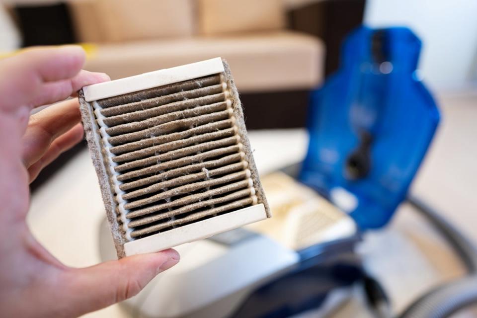 A person holding a very dirty vacuum cleaner filter between their thumb and middle finger.