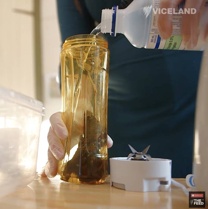 A person wearing gloves is pouring a liquid from a bottle into a brown container filled with plants on a table, shown on a segment from "The Feed" on Viceland