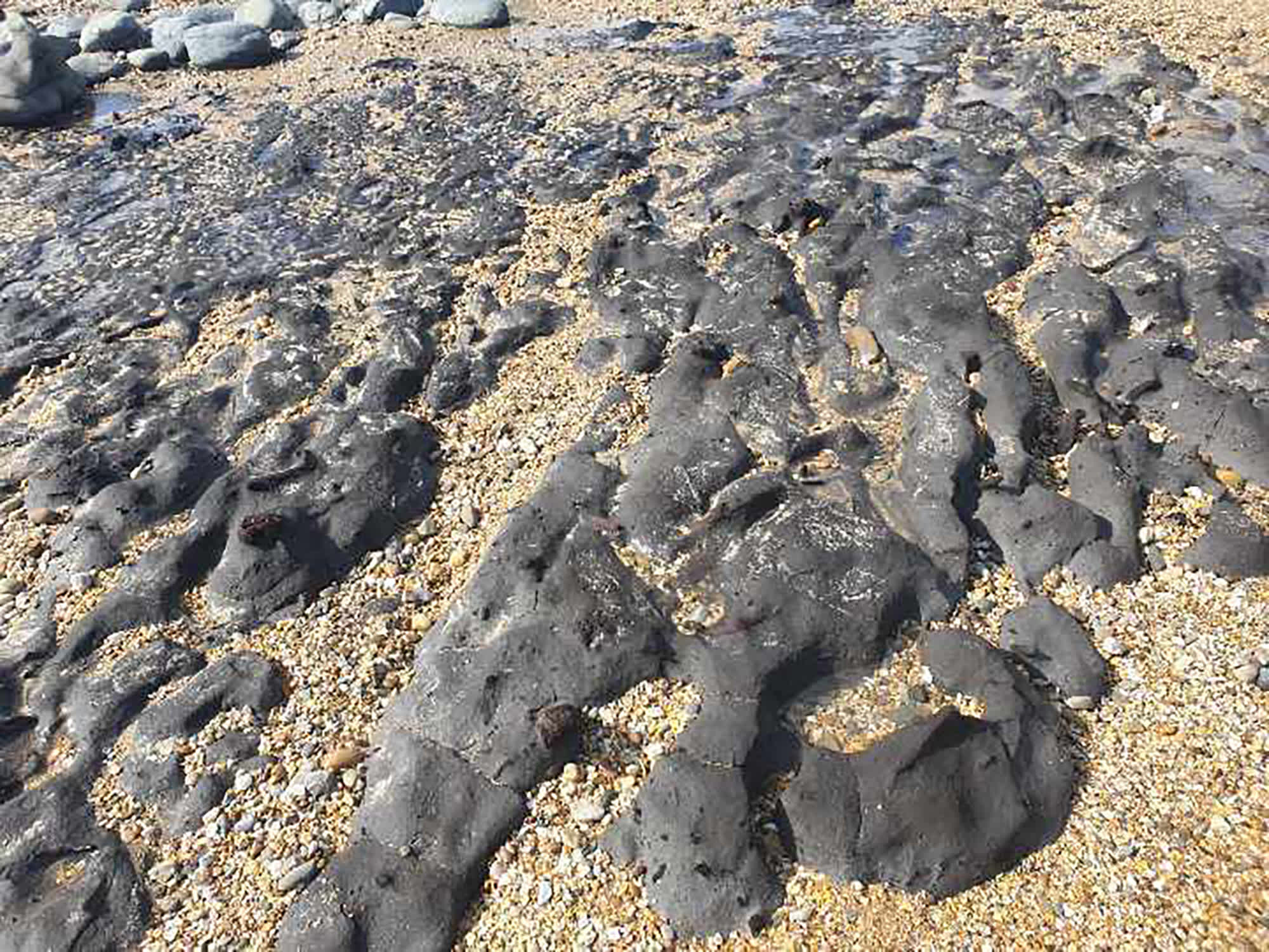 Strange rocks and sediment at Badger Beach in Narawntapu National Park.