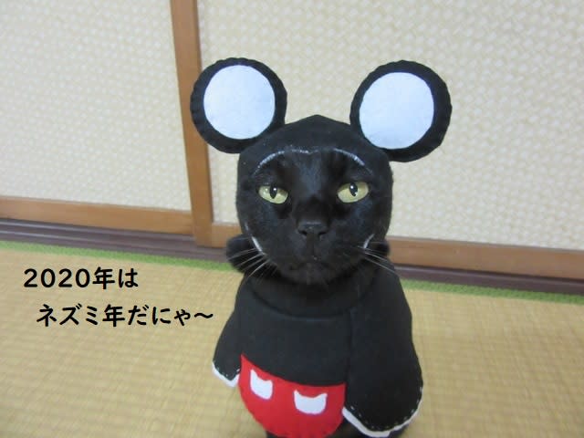 Cat cosplayer from Japan, Chocola, whose owner has hand-made 114 costumes for it, as Mickey Mouse. (Photo: Twitter/@kigurumicyokor1)