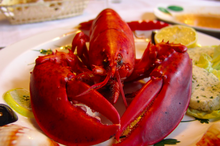 Peck said his lobster was overcooked (Pexels/stock photo)