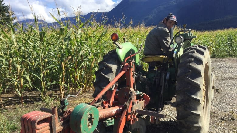 Plower power: B.C. farmer wins Canadian Plowing Championship