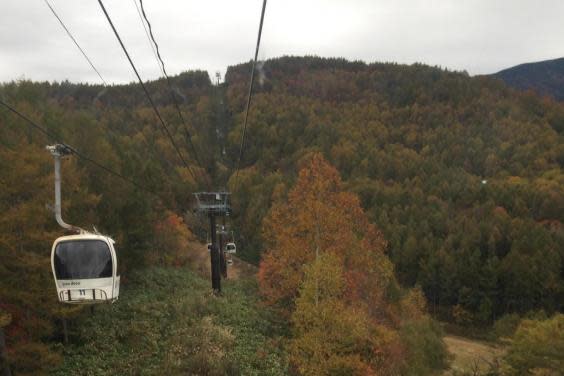 Grandeco ski resort is ripe for autumnal walks (Tamara Hinson)