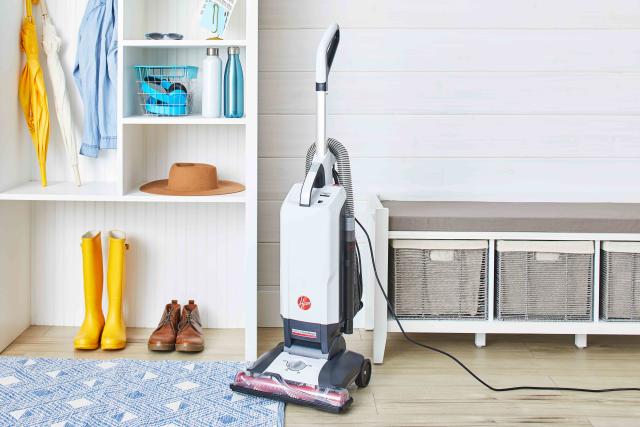 The 7 Best Carpet Cleaners of 2023, Tested and Reviewed