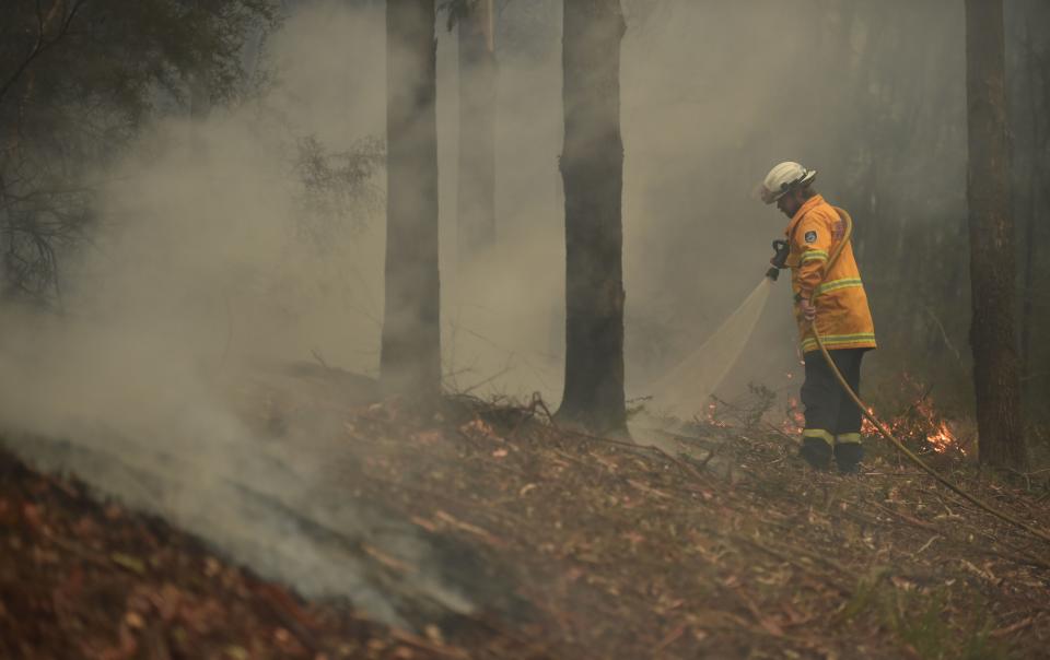 A firefighter tackles a bushfire south of Nowra.