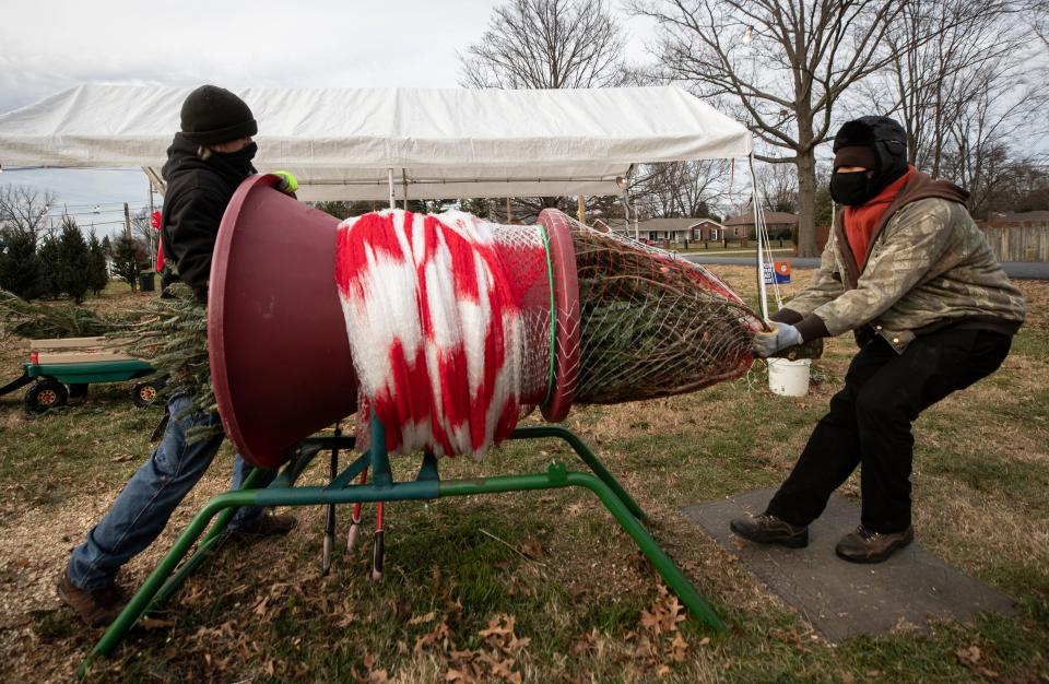 Willis Freeman, left, and Jared Parkinson wrapped a Christmas tree they'd sold.