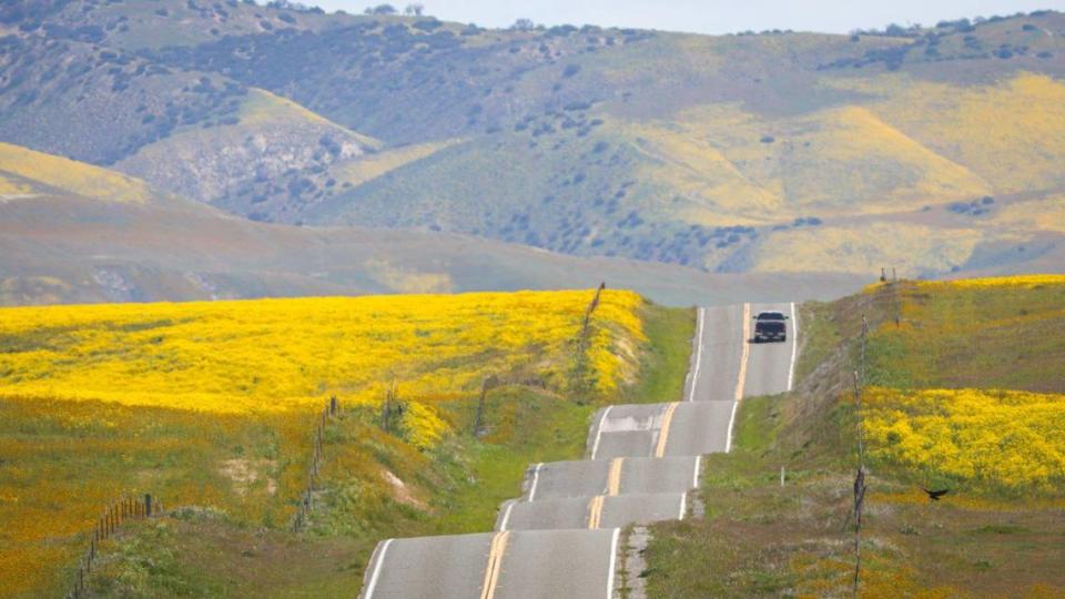 Highway 58 looks like waves on the sea as it approaches the San Andreas Fault, wildflowers cover the Temblor Range in the background. Wildflower fans turned out along Highway 58 on April 7, 2023. A series of drenching atmospheric river storms filled creeks and made for a solid wildflower season.