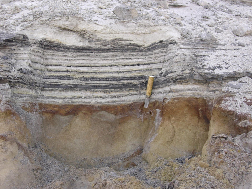 This 2006 photo provided by researchers shows a close-up of organic material in coastal deposits at Kap Kobenhavn, Greenland. The organic layers show traces of the rich plant flora and insect fauna that lived two million years ago. Scientists have analyzed 2-million-year-old DNA extracted from dirt samples in the area, revealing an ancient ecosystem unlike anything seen on Earth today, including traces of mastodons and horseshoe crabs roaming the Arctic. (Svend Funder via AP)
