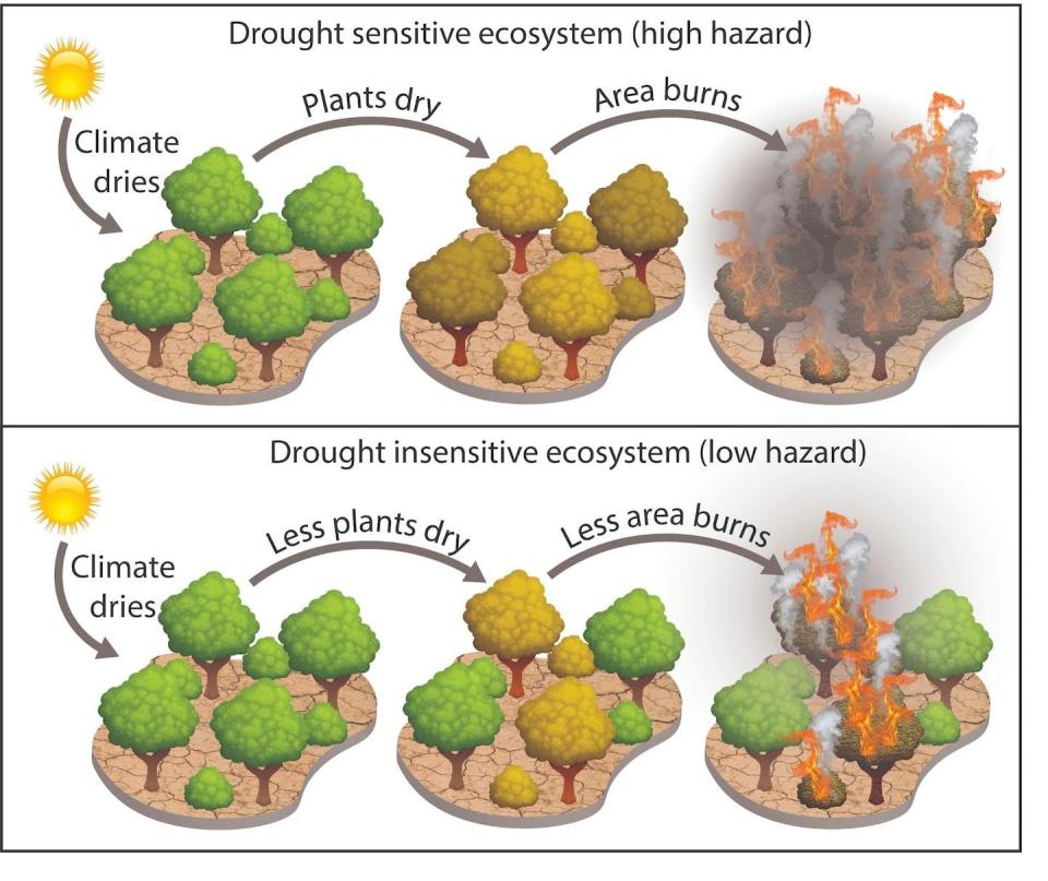 The same amount of dryness can cause different amounts of burned area, depending on how sensitive the trees are to drought. Krishna Rao, <a href="http://creativecommons.org/licenses/by-nd/4.0/" rel="nofollow noopener" target="_blank" data-ylk="slk:CC BY-ND;elm:context_link;itc:0;sec:content-canvas" class="link ">CC BY-ND</a>