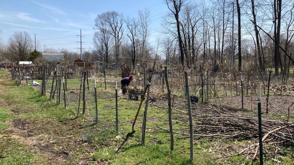 A Nepali woman removes brush from her plot on April 22, 2022, at Webster Farms Community Garden in Lansing.