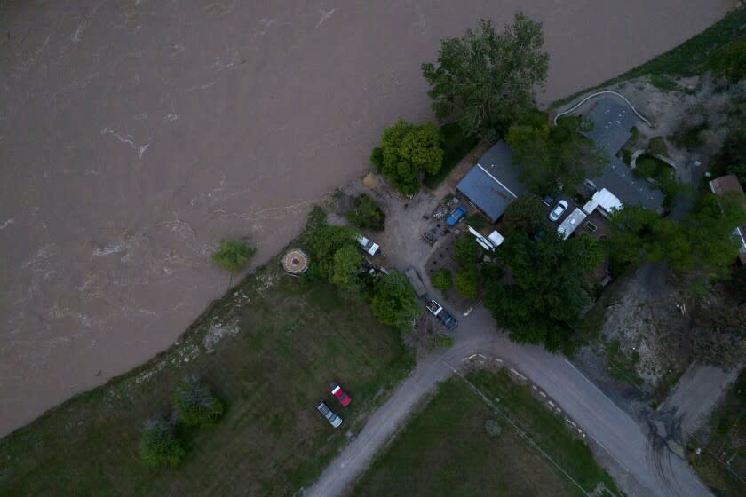 The roaring Yellowstone River is seen from the air sweeping over trees and near homes Tuesday, June 14, 2022, in Billings, Mont. (AP Photo/Brittany Peterson)