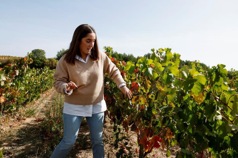 En La Rioja, las viñas viejas podrían proteger al vino del cambio climático