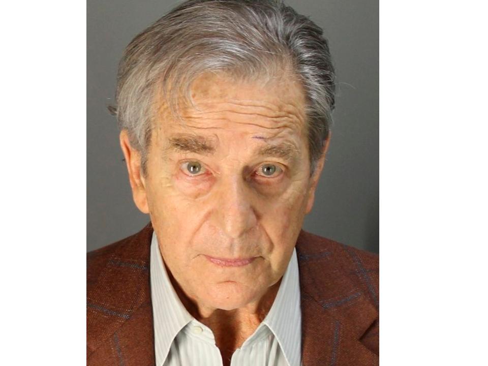 Paul Pelosi's mugshot.