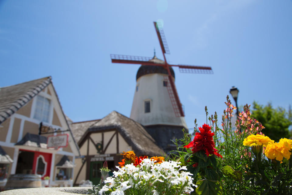 Flowers in front of a Solvang windmill