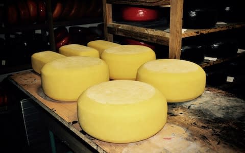 Cheeses at Peter Róna's gourmet cheese factory - Credit: http://kisasszondisajtok.hu/