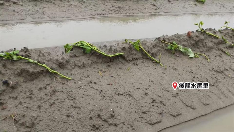 苗栗豪雨狂炸多地現災情　山區傳落石砸車、後龍瓜田泡水