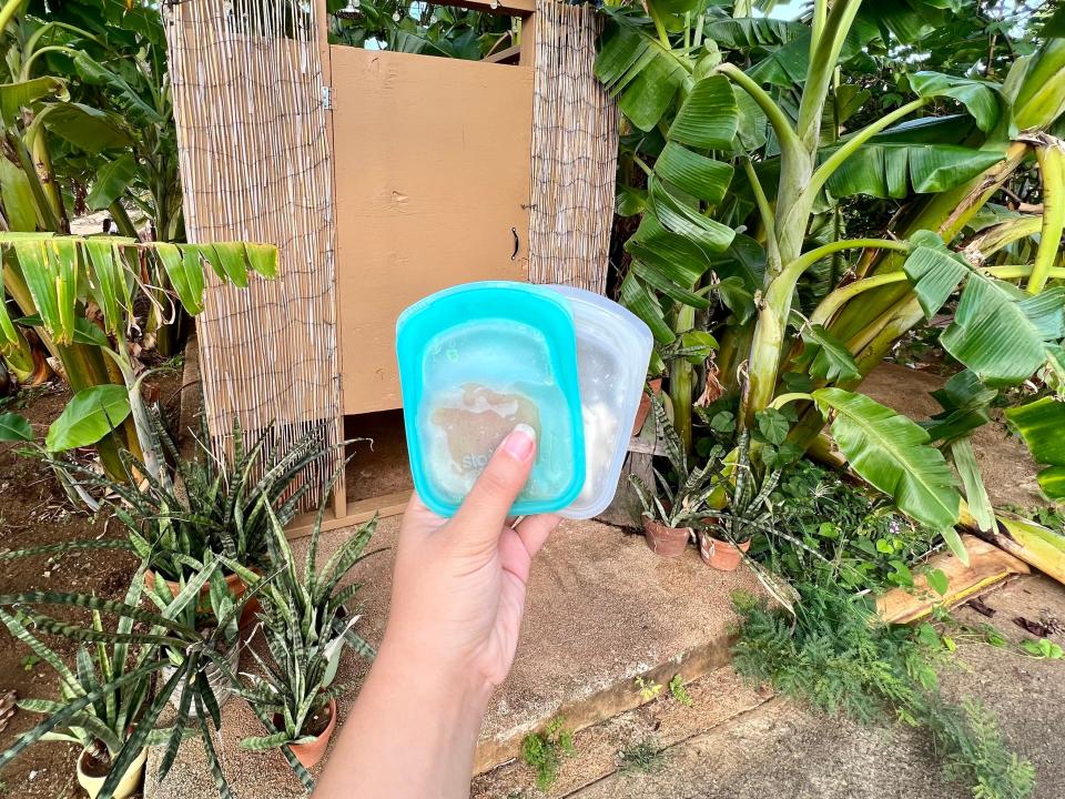 The writer holds small rubber containers with shampoo and conditioner bars in front of tropical plants