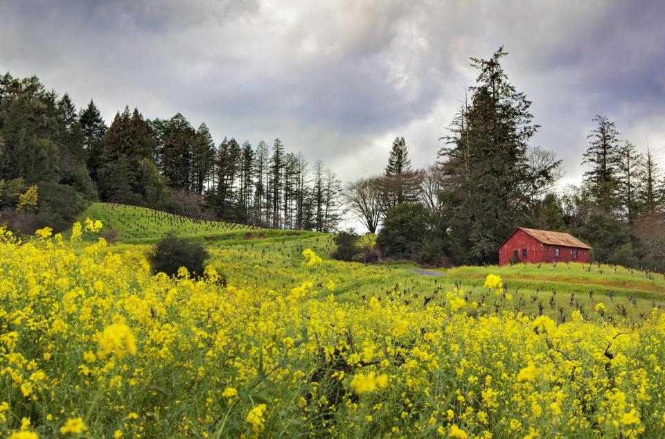 Healdsburg, California