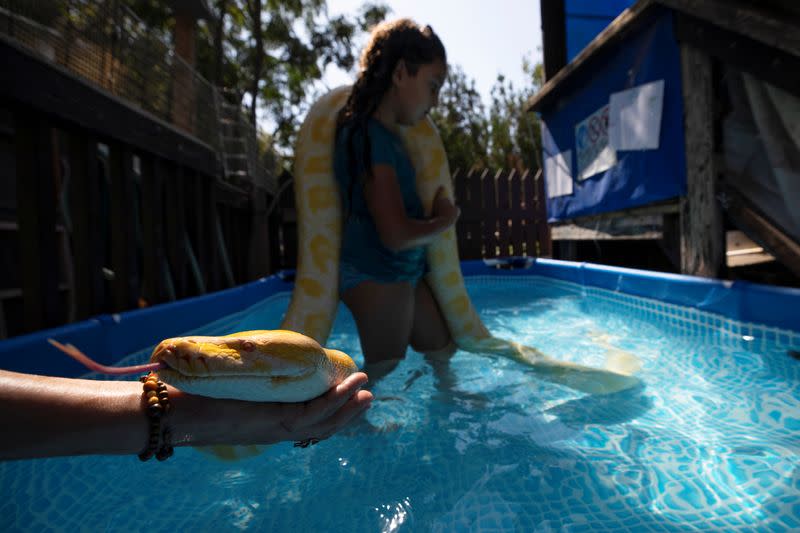 Israeli girl makes a splash with her pet snake