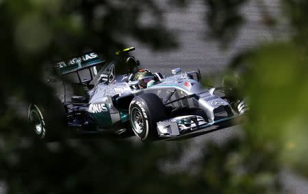 Mercedes Formula One driver Nico Rosberg of Germany pilots his car during the second free practice session of the Hungarian Grand Prix at the Hungaroring circuit, near Budapest July 25, 2014. REUTERS/David W Cerny