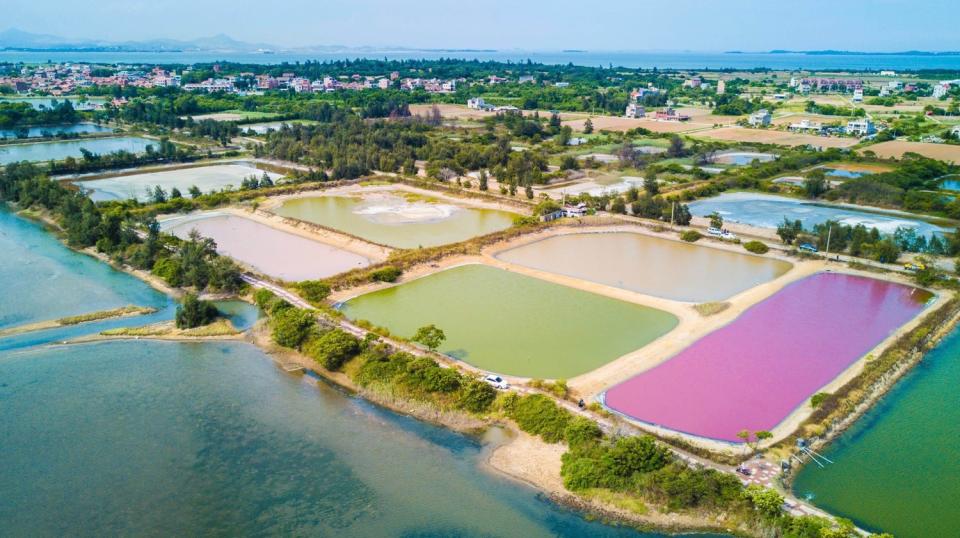 魚塭變色是因為藻類和光合成菌作用造成的。   圖：翻攝自樂遊金門臉書 網友喉嚨哥/攝