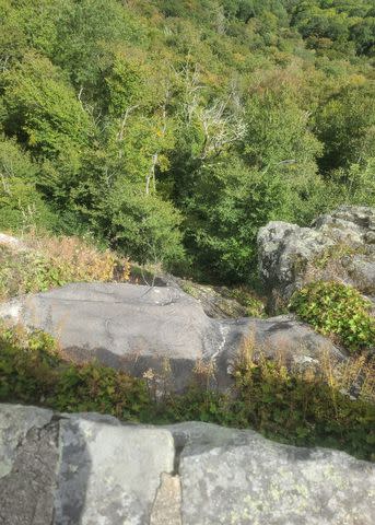 <p>Reems Creek Fire Department</p> Steep cliff at Glassmine Falls Overlook