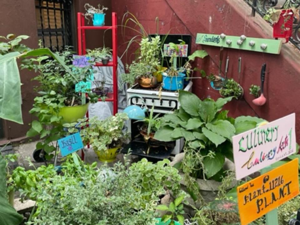 Perri Edwards garden is bursting with herbs and complete with an antique stove (Louise Boyle/The Independent)