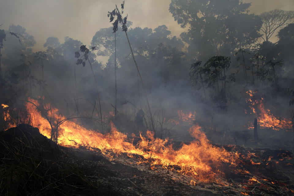 Los incendios en Brasil, fuera de control (AP Photo/Eraldo Peres)