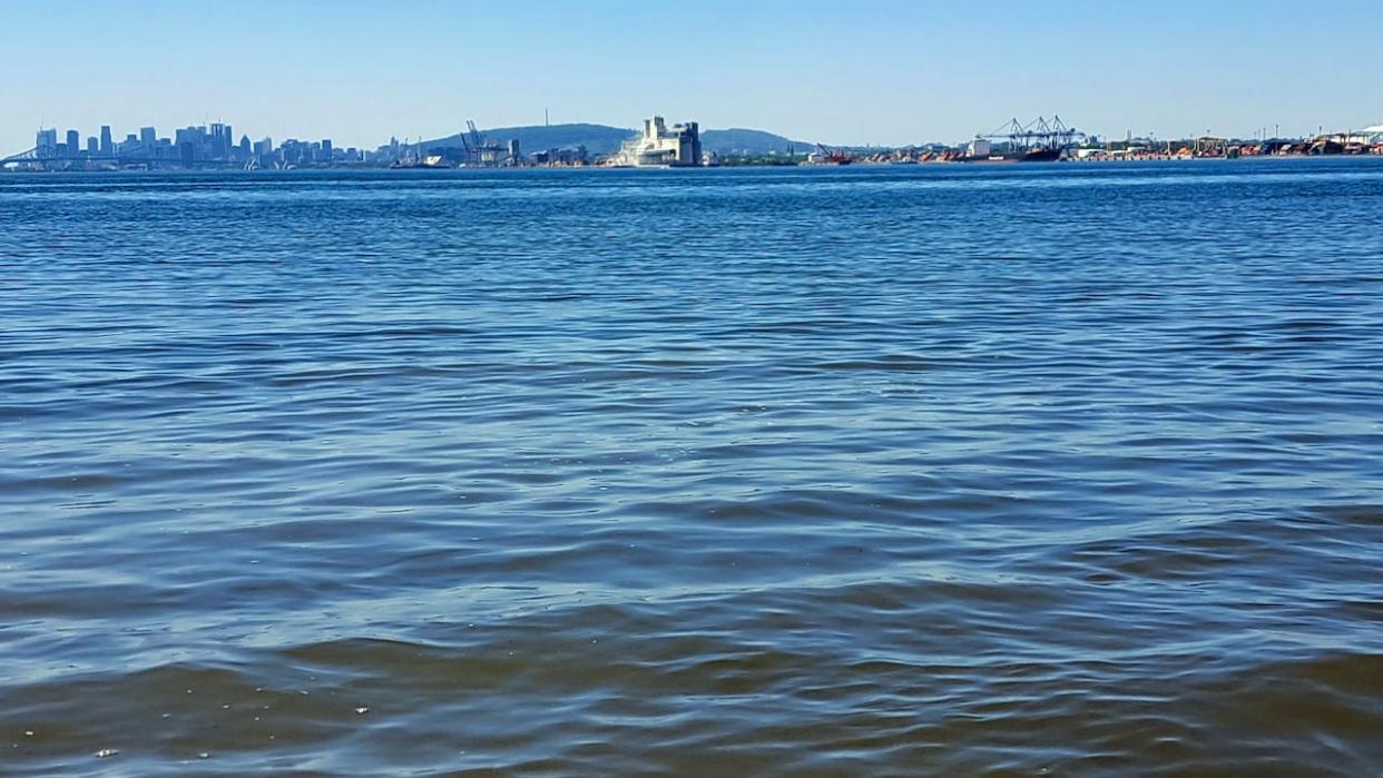 Montreal wastes too much drinking water and dumps too many pollutants into the St. Lawrence River, according to a recent environmental report. (Isaac Olson/CBC - image credit)