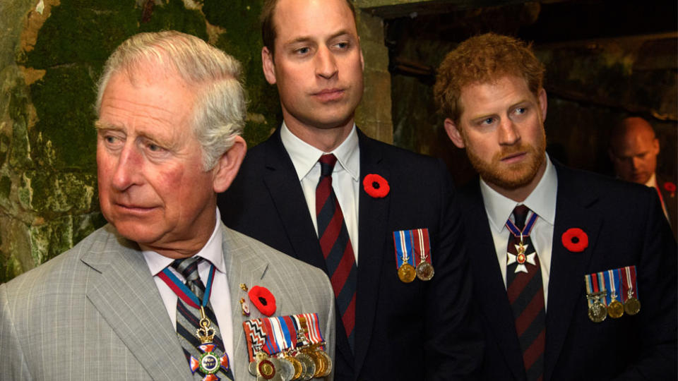 William and Harry's relationship with Prince Charles is 'strained'