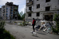 A man walks a dog in front of a building ruined by shelling in Borodyanka, on the outskirts of Kyiv, Ukraine, Wednesday, May 25, 2022. (AP Photo/Natacha Pisarenko)