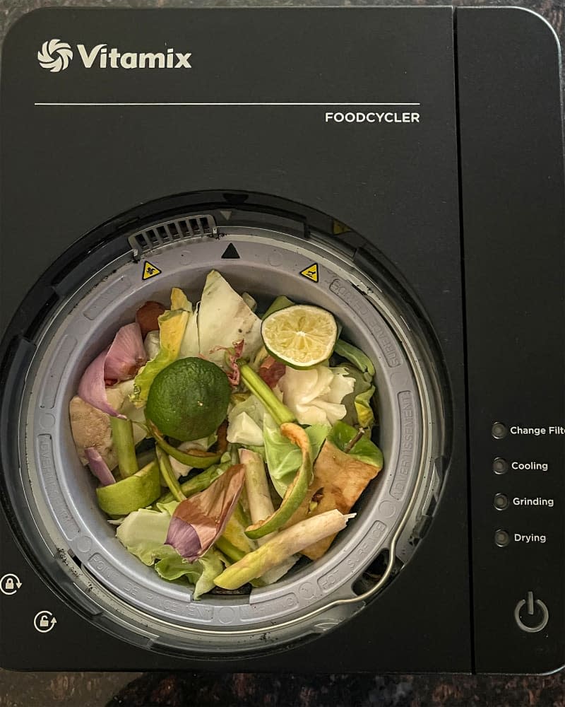 Food scraps in Vitamix foodcycler.