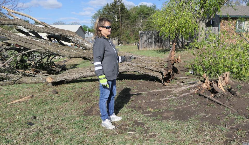 Tabrina Neal examines a tree that was ripped out of the ground during Friday's tornado in Andover.
