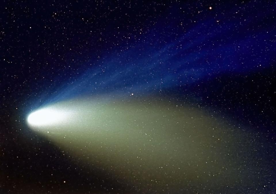 Comet Hale-Bopp sports a blue gas tail and a curving yellowish dust tail in this five-minute time exposure made March 29, 1997, from Kelly. The most widely observed comet in history, Hale-Bopp had a worldwide audience greater than that of any Superbowl.