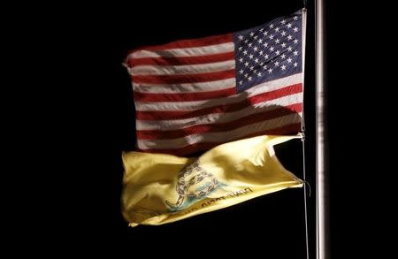 A Gadsden flag and a U.S. national flag fly over the Bureau of Land Management (BLM) Burns District Office outside Hines, Oregon January 31, 2016. REUTERS/Jim Urquhart