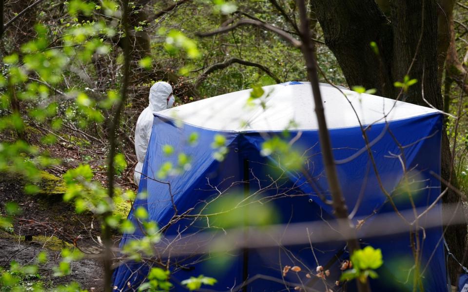 The body was found in a secluded woodland area