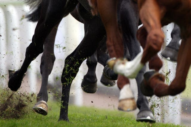 Horses racing (Nick Potts/PA)